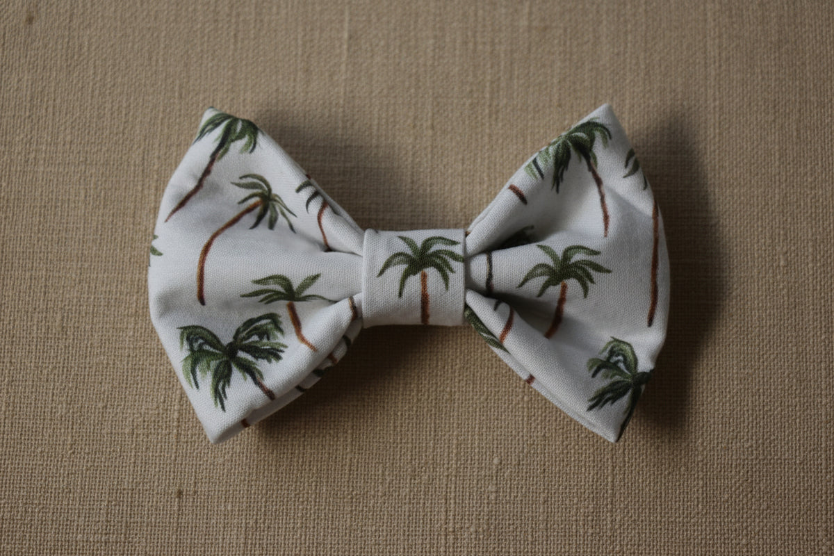 Palm Breeze