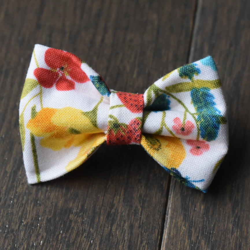 Petal & Picnic