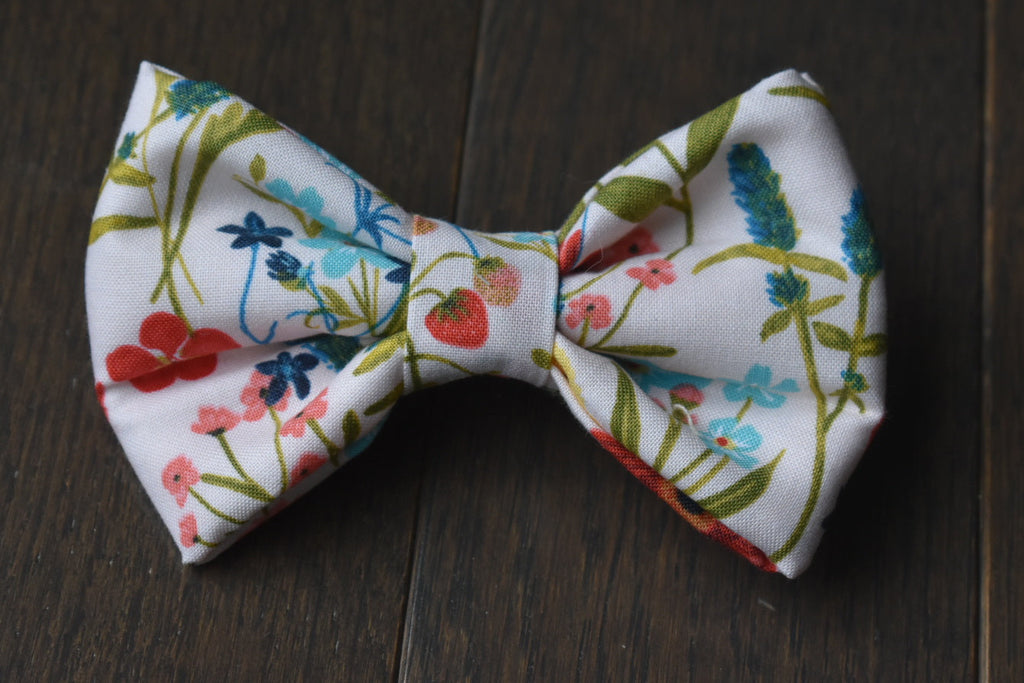 Petal & Picnic