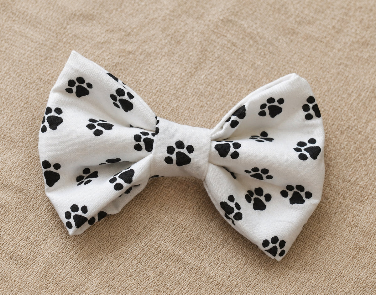 Paws-itively Purr-fect