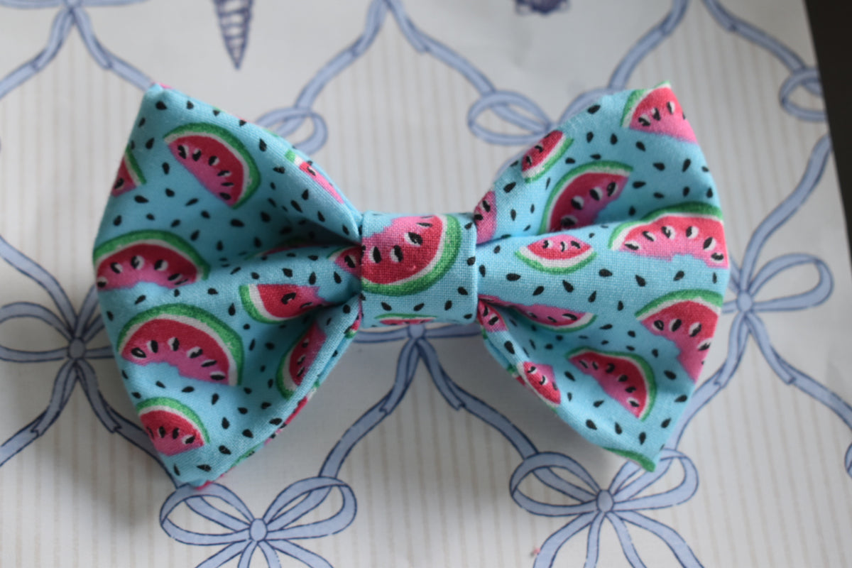 Surfside Slices