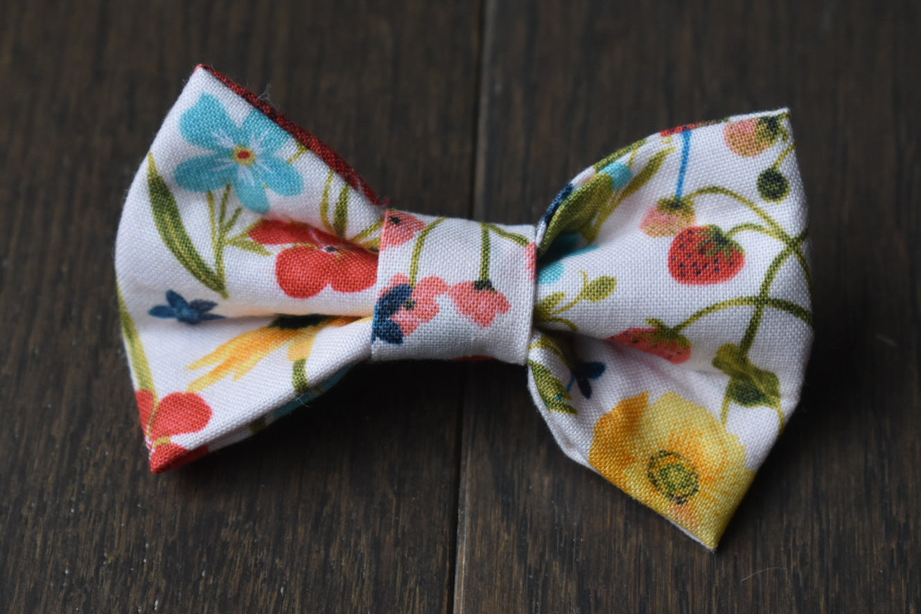 Petal & Picnic