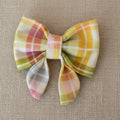 Colorful Spring Gingham