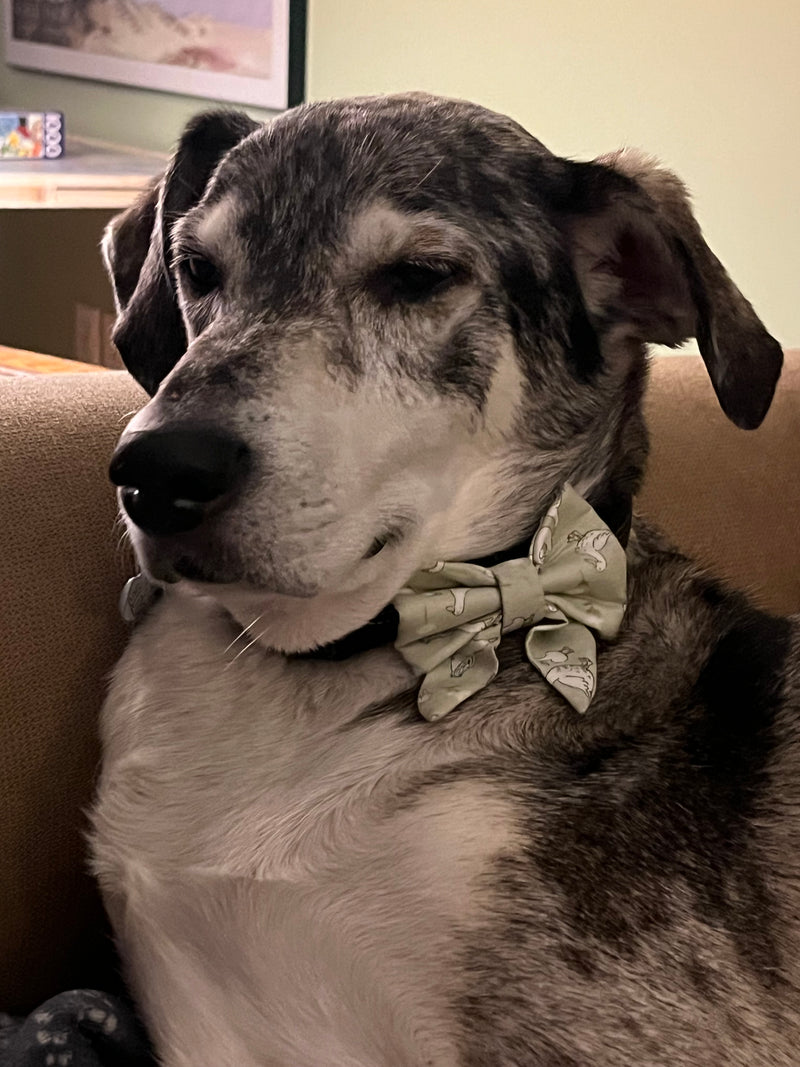 Celeste wearing our 'Spring Goose" print.